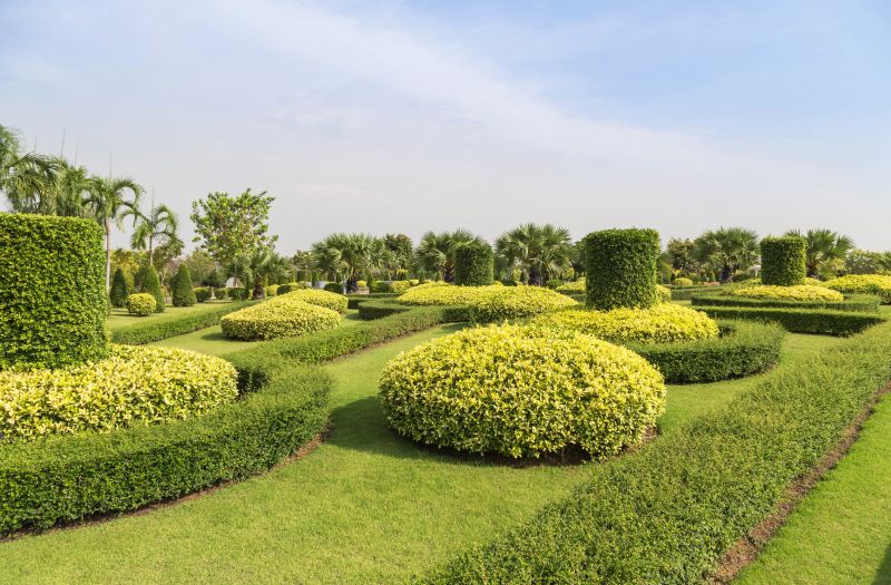 Landscape with Trimmed Shrubs