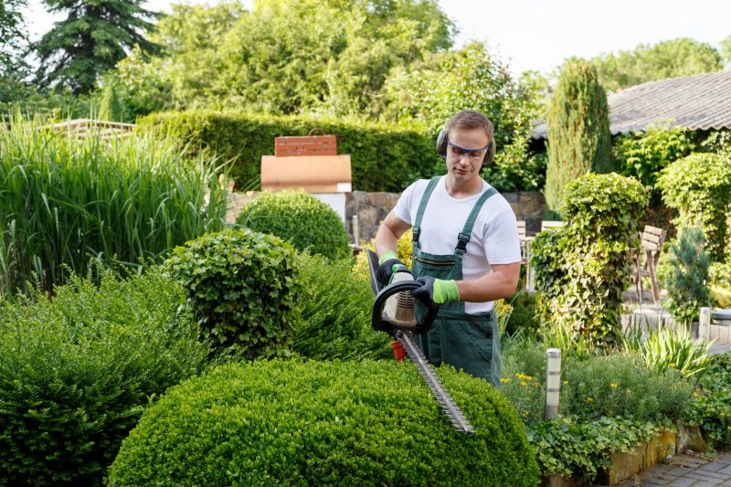 Shrub Trimming Tools
